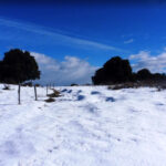 HOSTALETS-BATLLIA-FOTO