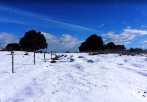 HOSTALETS-BATLLIA-FOTO