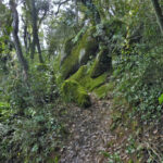 JOAN-CAU-CANADELL-ROSTA-FOTO