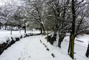 OLOT-BATET-COT-GEGANT-FOTO