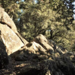 SANT-TOMAS-MALFORAT-FOTOT