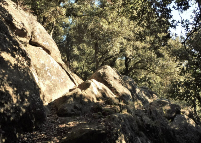 SANT-TOMAS-MALFORAT-FOTOT