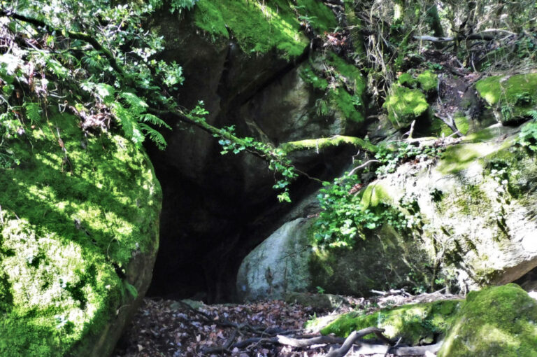 BAS-VILA-MARBOLENYA-FOTO-2