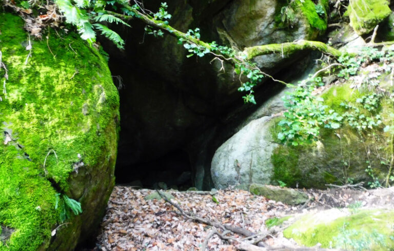 ESTEVE-COVES-VILA-FOTO