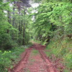 ABADESSES-COLOMER-MONTSALVATGE-FOTOS