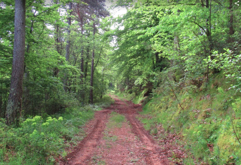 ABADESSES-COLOMER-MONTSALVATGE-FOTOS