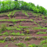 CAMPRODON-RAL-BLANQUES-FOTO