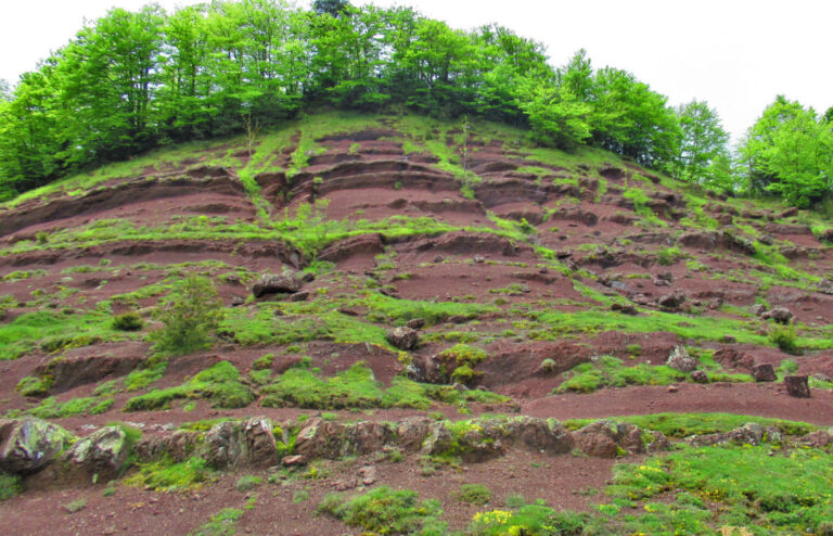 CAMPRODON-RAL-BLANQUES-FOTO