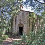 CISTELLA-COQUELLS-FOTO