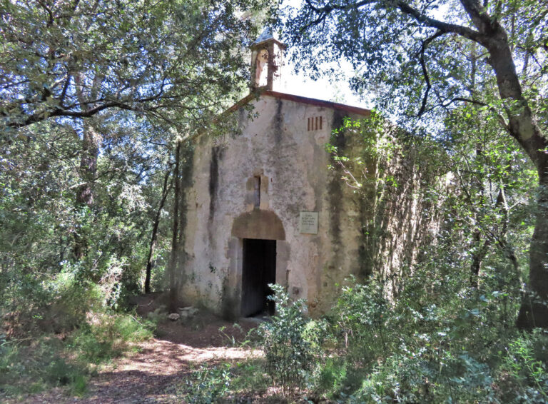 CISTELLA-COQUELLS-FOTO