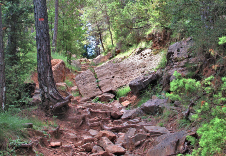 GOMBREN-RODO-GENERAL-FOTO