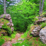 OGASSA-BRUGUERA-SALTOR-FOTO