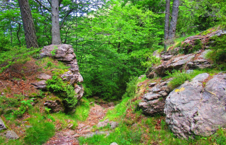 OGASSA-BRUGUERA-SALTOR-FOTO