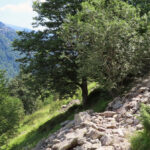 ESPINAVELL-LA-PRESLE-FOTO