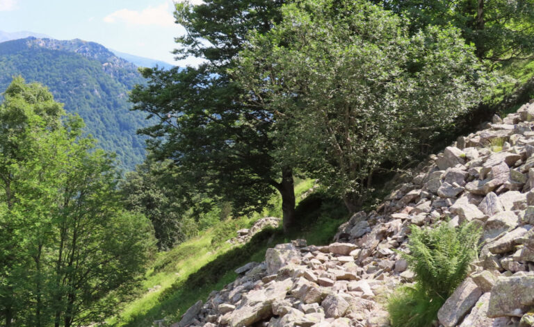 ESPINAVELL-LA-PRESLE-FOTO