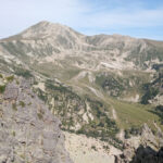 FAJOL-GRAN-I-PETIT-FOTO