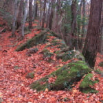 ARTIGAMALA-URIA-SOBREMONT-FOTO