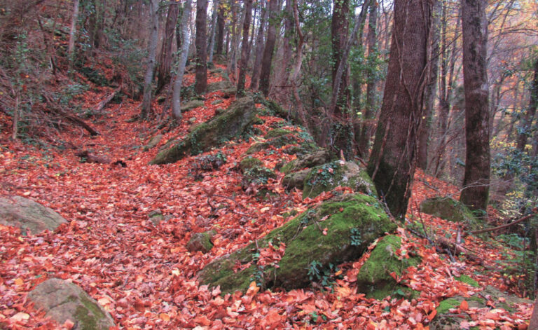 ARTIGAMALA-URIA-SOBREMONT-FOTO