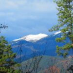 CAMPDEVANOL-ROC-RIPOLL-FOTO