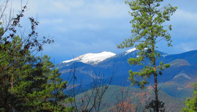 CAMPDEVANOL-ROC-RIPOLL-FOTO