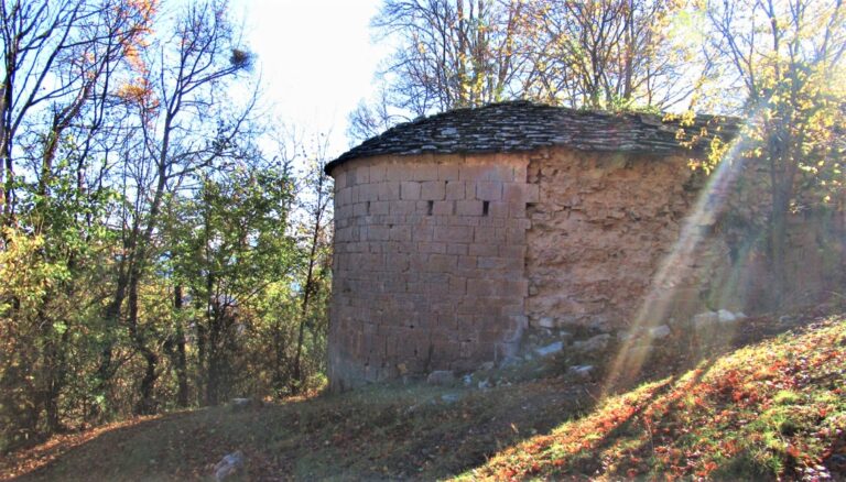 RIPOLL.VIDABONA-SALTOR-FOTO