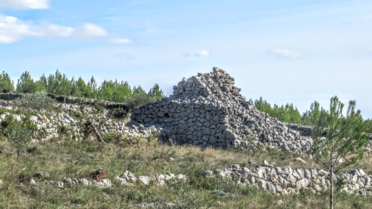 VILAFANT-VILANANT-FOTO