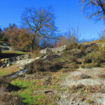 ARIGAMALA-MATEUS-FOTO