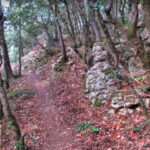 HOSTALETS-TERRUS-URIA-FOGOSES-FOTO