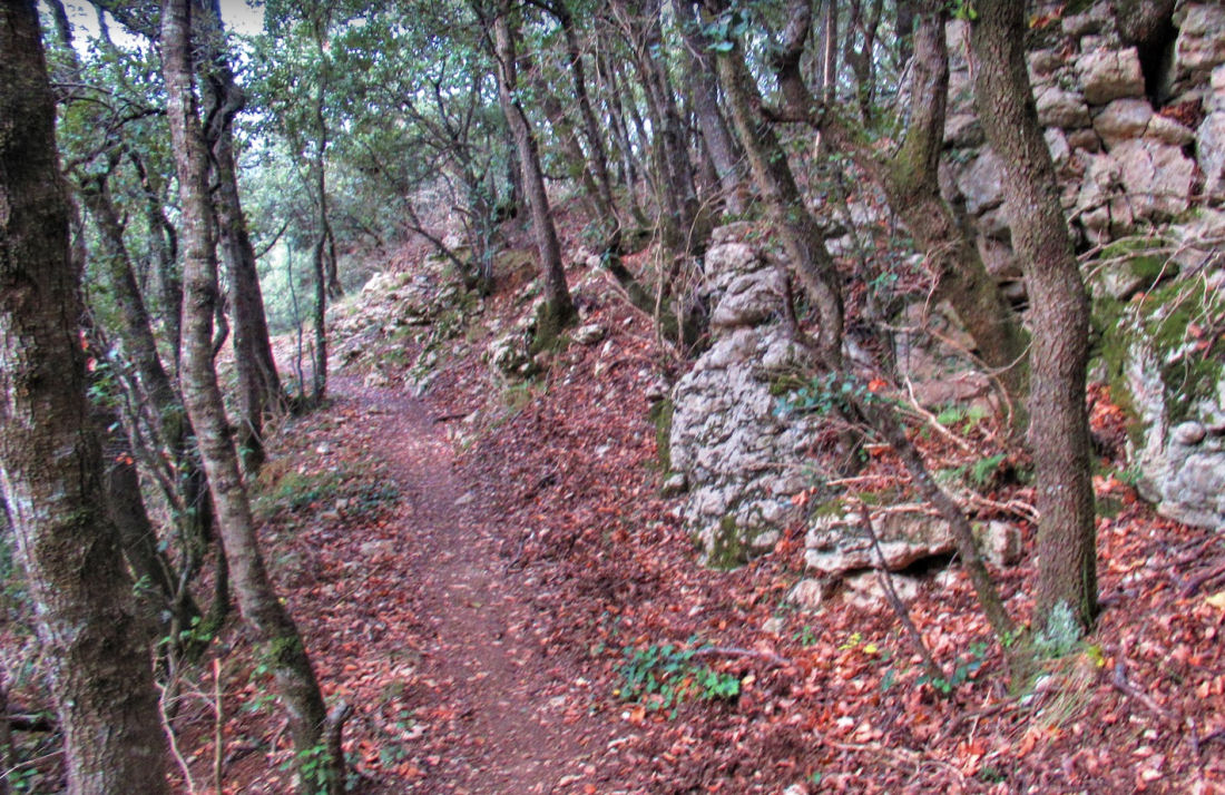 HOSTALETS-TERRUS-URIA-FOGOSES-FOTO