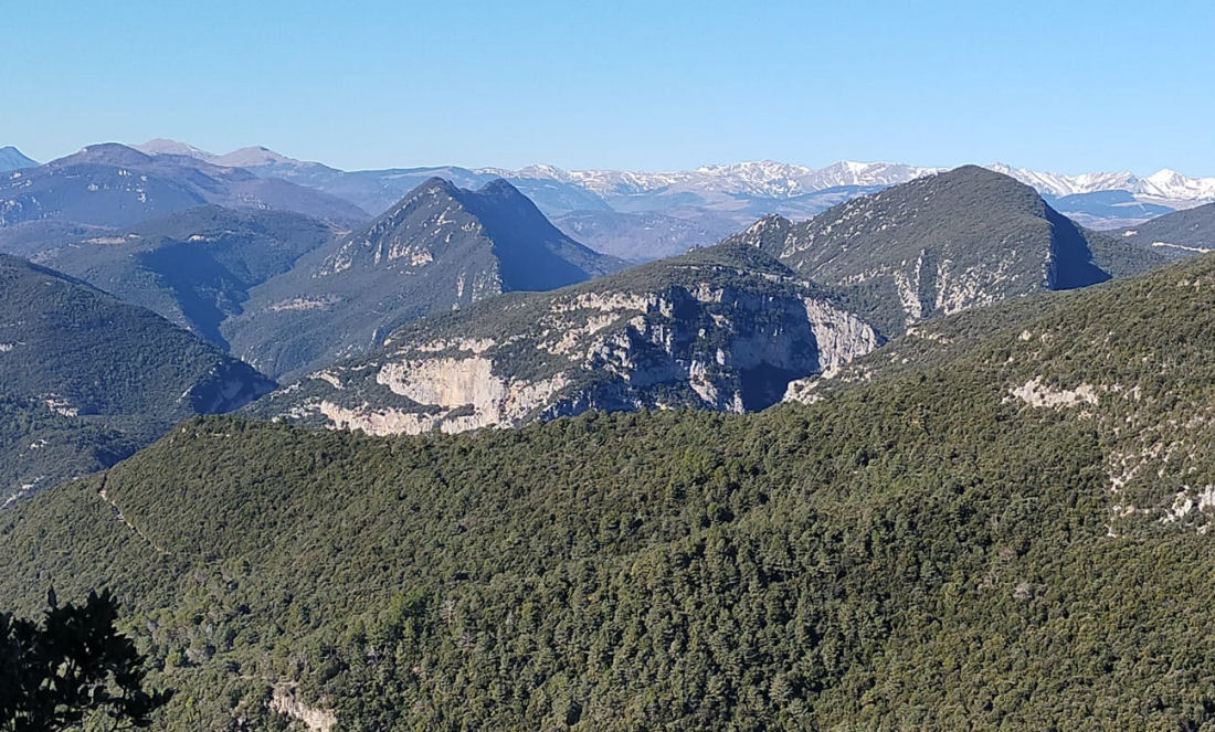 SADERNES-LLORER-ENTRPERES-GUITARRIU-FOTO