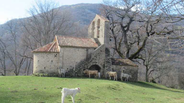 RUBI-SALARCA-BOLOS-FOTO