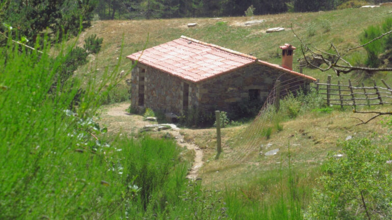 ROCA-ABELLA-BULLICI-FOTO