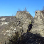 AIATS-AGULLOLA-FOTO-2