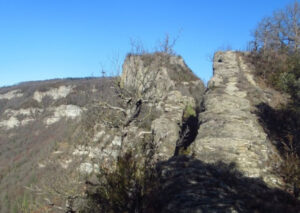 AIATS-AGULLOLA-FOTO-2