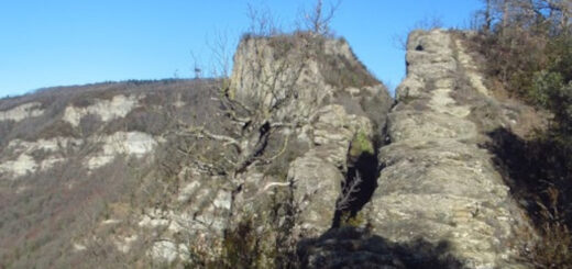 AIATS-AGULLOLA-FOTO-2