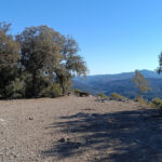 OMIMG_20240125_135450