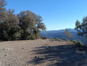 OMIMG_20240125_135450