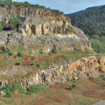 TORTELLA-PEDRERA-foto