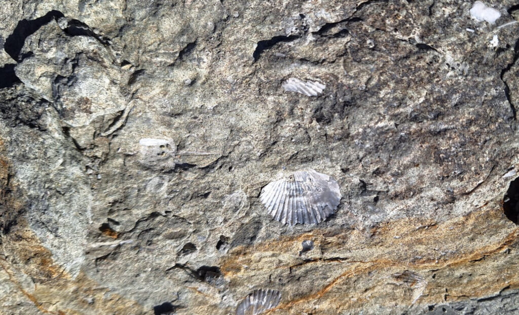 SENDER-MARBOLENYA-COVA-CARRERA-FOTO