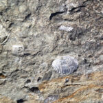 SENDER-MARBOLENYA-COVA-CARRERA-FOTO